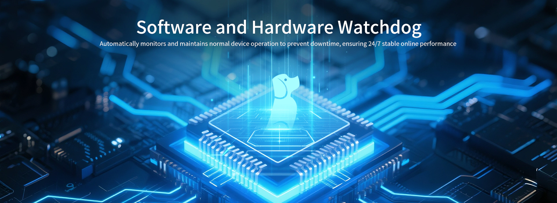 Software and Hardware Watchdog
